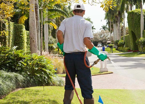 About Stover MO Pest Control